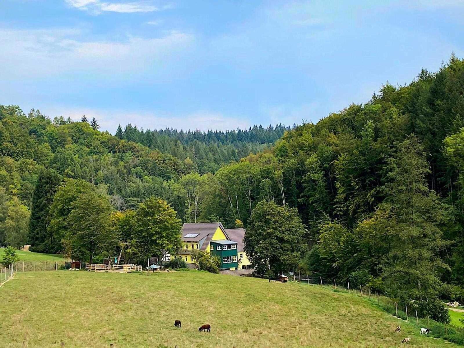 Siegelsbacher Muehle Bagian luar foto